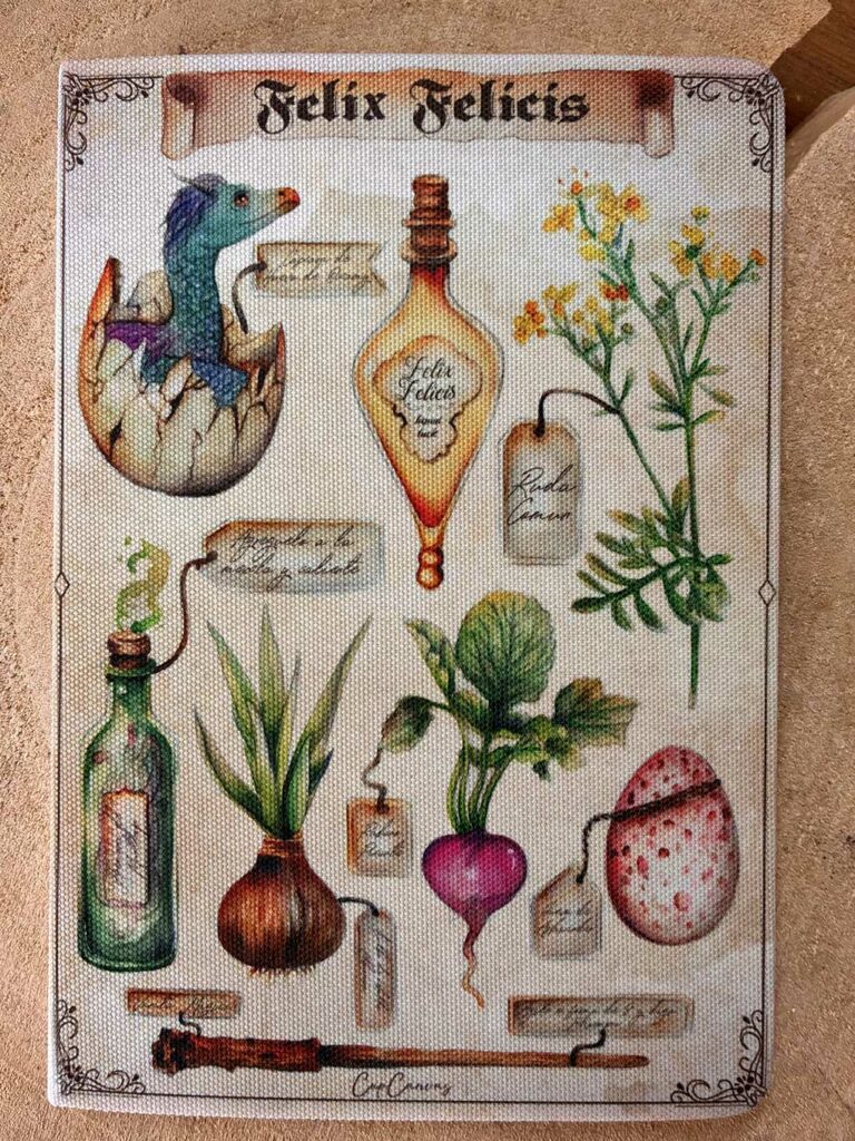Libreta A5 - Felix Felicis